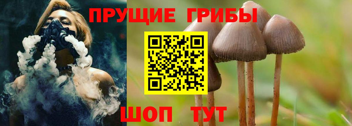 Галлюциногенные грибы Psilocybe  Псилоцибиновые грибы мицелий  Ликино-Дулёво  Вход с VPN 